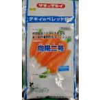 向陽二号　ペレット1万粒 人参種子　【タキイ交配】