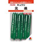  север . огурец 11 шарик [takii. tane][ овощи. вид ]