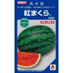 紅まくら　200粒　スイカ種子【西瓜種】【タキイのタネ】【野菜の種】