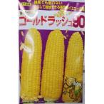 ゴールドラッシュ90　スイートコーン種子　（約200粒