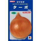 野菜種子　タマネギ　ターボ　20ml【タキイ種苗】【野菜種子】