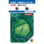 彩音　キャベツ種子　1.2ｍｌ中晩生種　年内〜冬どり