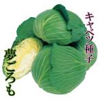 夢ごろも　キャベツ種子　L5000粒　晩生種　早春どり