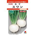 カブ種子　スワン　L5000粒　【タキイ種苗】【野菜種
