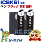 送料無料 ICBK61 ブラック 顔料 お得