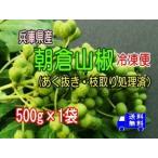 兵庫県産朝倉山椒（プレミアム山椒）冷凍　あく抜き・枝取り処理済み  500g×1袋  送料無料  冷凍便でお届け 北海道・沖縄離島別途送料