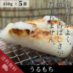 うる餅 のし餅 うるう餅 たがね餅 350g×5袋