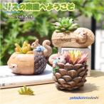 植木鉢 リス りす 母の日 ガーデニングオブジェ 鉢植え フラワープランター 多肉植物 サボテン ミニ プランター おしゃれ 可愛い