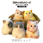  squishy золотой кошка .... -тактный отсутствует аннулирование ...... кошка Insta ..... тоже . моти ... играть интересный смешанные товары Y2K кошка 