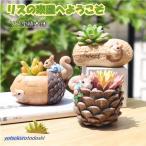 植木鉢 リス りす 母の日 ガーデニングオブジェ 鉢植え フラワープランター 多肉植物　サボテン ミニ プランター おしゃれ 可愛い