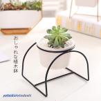 小さめ植木鉢多肉植物の寄せ植え鉢多...