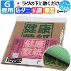 日本製 防ダニシート 6畳 広範囲 抗菌 ダニ忌避 健康敷紙 (O) 6畳用 101×380cm 3枚入り 敷くだけ 置くだけ ラグ カーペット ポイント利用