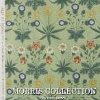  Maurice рисунок ткань рукоделие цветочный принт маленький цветок moda* ткань s порез продажа (10cm на ) примерно ширина 110cm 10 см единица измерения si- подбородок g ткань Дэйзи 33493-14 (Y) зеленый . покупка 