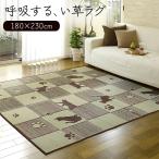 い草 ラグ マット 約180×230cm い草ふっくらラグ キューブキャット (O) 夏 イ草 カーペット ふっくら 防カビ 抗菌 調湿 自然素材 裏面不織布 ウレタン入り 厚手