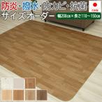 撥水 ビニール製 カーペット サイズオーダー 幅200cm×長さ110cm〜150cm クッションフロアダイニングラグ (SLy) 1.8mm厚 幅広 抗菌 防炎 CF ペットマット