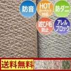 防音 カーペット ラグ 防ダニ ホットカーペットカバー 三畳 3畳 3帖 約176×261cm アレルブロック 遊び毛防止 ポルコ (S) 半額以下 ポイント利用