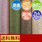 防音 カーペット ラグ 防ダニ ホットカーペットカバー 四畳半 4畳半 4.5畳 4.5帖 約261×261cm アレルブロック 遊び毛防止 サウンドヘイズ (S) 半額以下