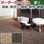 オーダーカーペット 東リ カーペット 絨毯 ラグ マット アースブレス 約250×400cm 抗菌 防汚 防炎 耐久性 ナイロン モダン デザイン 業務用 半額以下 新生活