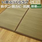ラグマット 夏用 ラグ 夏 カーペット サマーラグ い草 敷物 二ノ目織 約140×200cm 与那国ふんわりラグ (O) 半額以下 引っ越し 新生活 ポイント利用