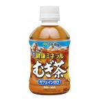 (2ケース以上送料無料_