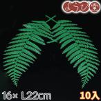 ショッピングおせち ウラジロ飾り 大 10入 16xL22cm