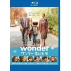 �����_�[ �N�͑��z �u���[���C�f�B�X�N�������^���p ���� �u���[���C