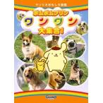  Pom Pom Purin one one большой набор! прокат б/у DVD