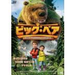  большой * Bear ..! маленький компания ... тайна. лес прокат б/у DVD