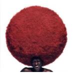 SOUL TREE a musical tribute to toshinobu kubota этикетка торцевая дверь CD б/у CD