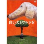 [ б/у ] белый собака .warutsu.[ прокат ] [DVD]