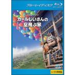 [ б/у ] Karl .. san. пустой .. дом [ прокат ] [Blu-ray] [ Blue-ray ]