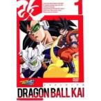 ドラゴンボール改 全53枚 改 全33巻 + 魔人ブウ編 全20巻 全巻セット