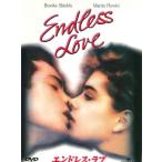 ●【中古】エンドレス・ラブ[レンタル落ち] [DVD]