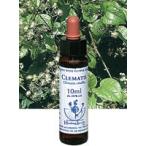 ヒーリングハーブス フラワーエッセンス  クレマチスエキス 10ml 日本国内正規品 Healing Herbs No.12