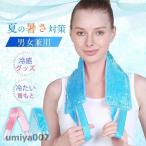ひんやり 冷感 クールネック アイスバン