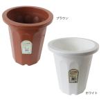 ��ȥ륬���ǥ� ���󥬥�ȭ 7�� [��� ���� �����ǥ˥� ���� ȭ ����ȭ ȭ���С� �����ڱ� 100��]