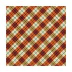  бандана (FALL PLAID) B22SEA-000532 55×55cm