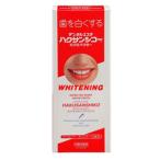 10個セット 中薬 中部薬品工業 ハク