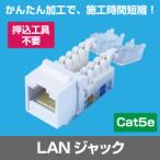 Cat.5e RJ45 LAN用ジャック(壁面端子・ローゼット用)(LANケーブル インターネット配線)(e3510) yct3