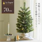 クリスマスツリー 70cm 卓上 ミニ テーブルツリー 棚上 小さい ミニツリー 玄関 モミの木 ヌードツリー おしゃれ リアル Le Sapin(R) ル・サパン 爆買