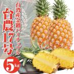 【6月10日頃入荷予定】送料無料！パイナップル 台湾産 金鑽パイン 約5kg 3玉〜5玉 完熟パイナップル 台湾パイン 糖度約18度