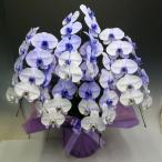 特殊技術染色の胡蝶蘭パープルエレガンス5本立ち