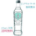 強炭酸水 瓶入り プレーンソーダストロング 275ml×10本 送料無料 瓶 おしゃれ ビッグバーンフーズ OWL MARK