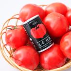 トマトジュース 果汁100％ジュース 山形代表 とまと 160g×20缶入 送料無料 無塩 山形食品