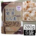  внутренний производство прорастание мочи муги ( большой simochi) 280g [5 пакет ] бесплатная доставка местного производства сырье злаки Fukuoka префектура лучший amenity 