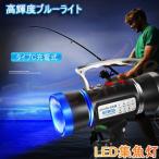 送料無料 LEDライト 夜釣り 集魚灯 ブルーライト ポータブル 夜間作業 POWER LIGHT 屋外用 釣り 懐中電灯 投光器 フィッシングライト 高