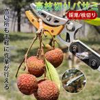  обрезка на высоком месте basami3m 4m 5m эластичный тип высота ветка порез . пила имеется эластичный тип обрезка . высота ветка . высота ветка для SK5 высоты садовые ножницы futoshi ветка порез . ветка порез . ветка разделение обрезка на высоком месте . универсальный ножницы 