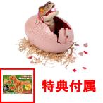  привилегия ania. Tama . приложен бесплатная доставка ....!u-moju lachic * world T- Rex eg красный 