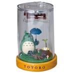  бесплатная доставка Tonari no Totoro .... музыкальная шкатулка to Toro 