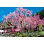 ジグソーパズル 1000ピース 日本風景（桜） 枝垂れ桜咲く久遠寺 [51-252] 4977524512523